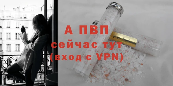эйфоретик Пересвет