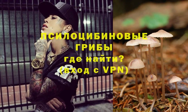 спиды Покров