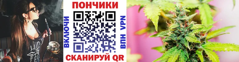 Шишки марихуана Bruce Banner Светлоград